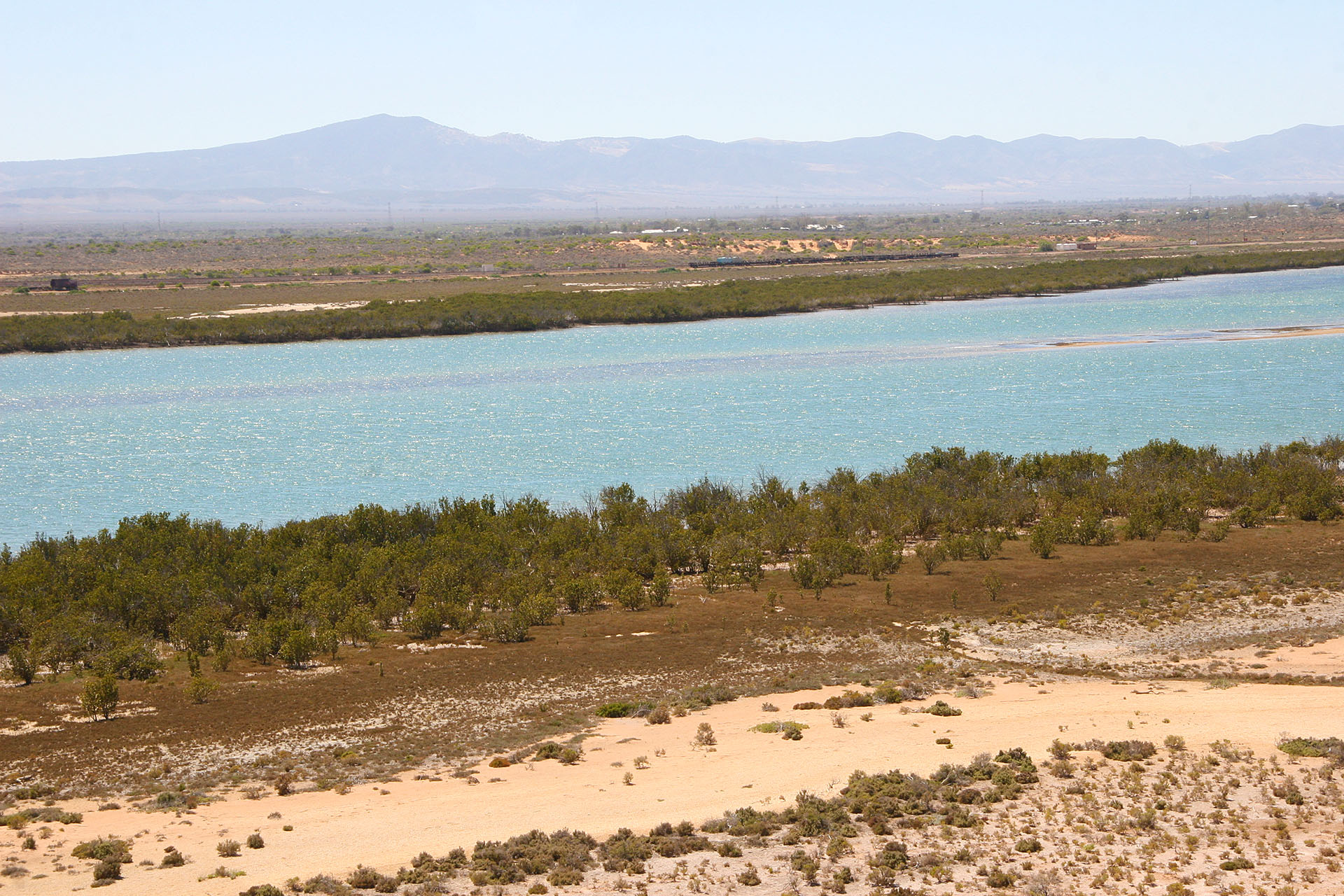 Mangroves in the front and Flinders Ranges in the back.