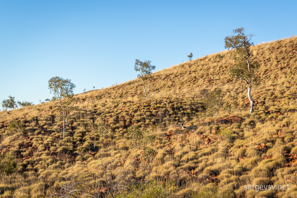The rim of the crater is covered in spinifex and ghost gums.