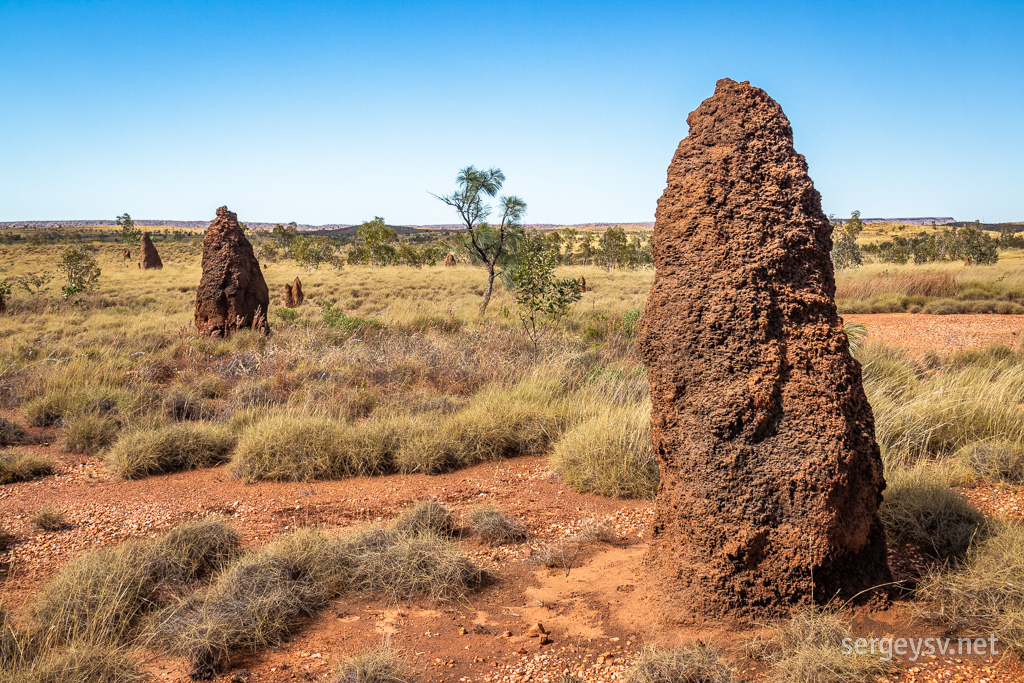 Now <i>these</i> are some proper termite mounds.