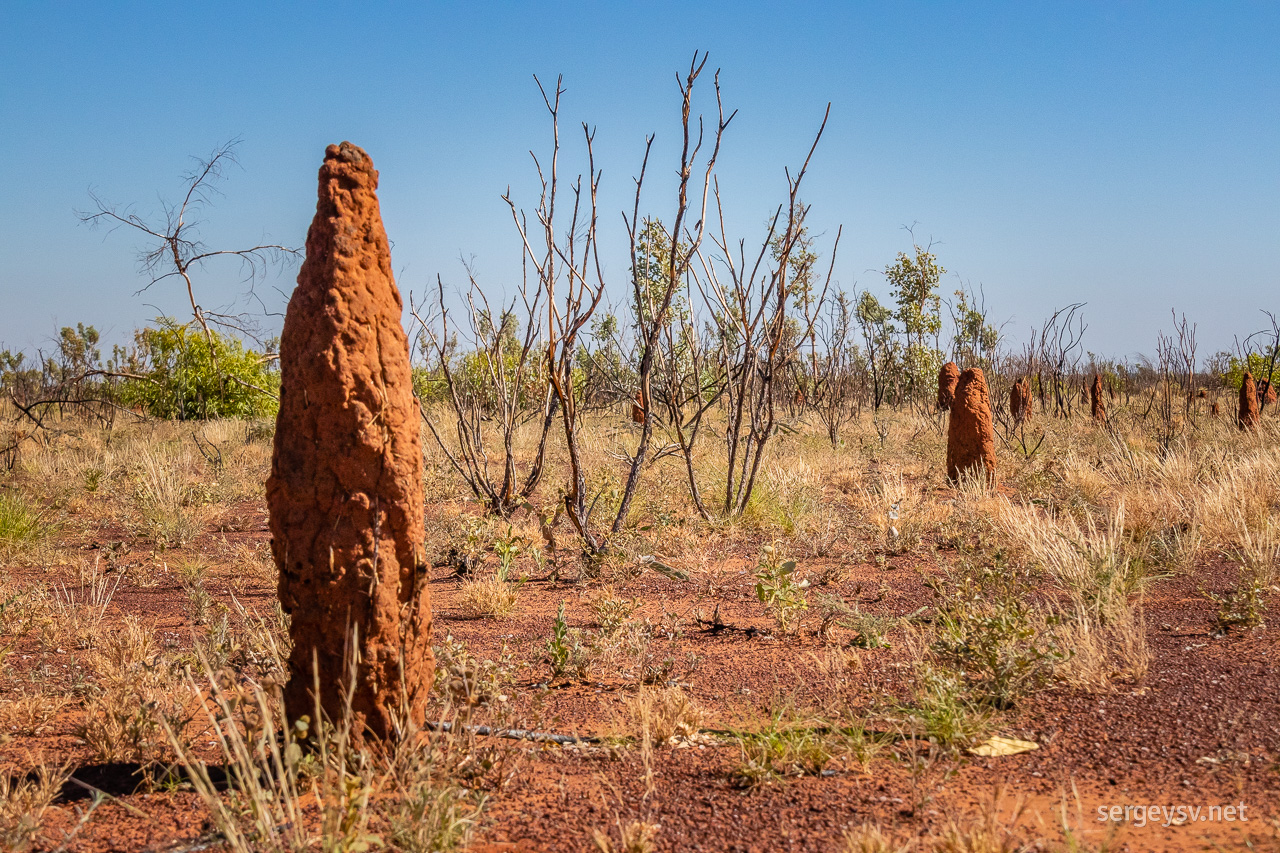 Love the red desert. And the termite mounds, of course.