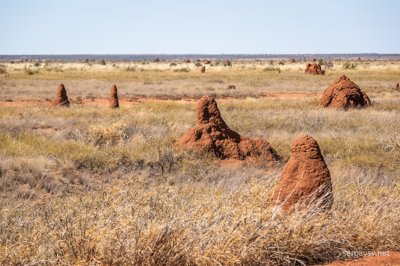 The termite mounds are getting few and far between.