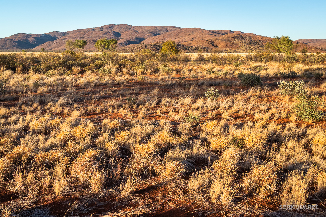 MacDonnell Ranges in the morning.
